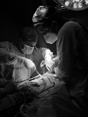 Sutures for cardiovascular surgery